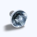 Żarówka Philips 6434/401953 20W 12V - obrazek 2