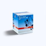 Żarówka Osram Photo Optic Lamp HTI 250W 45V - obrazek 5
